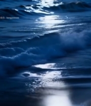  夜晚海面月光下的海浪7570#竖屏 	 