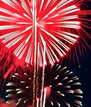  夜空中绽放的绚丽烟花(9)6058#竖屏 	 