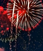  夜空中绽放的绚丽烟花(6)2954#竖屏 	 