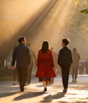  阳光中行人漫步公园道路1565#竖屏 	 