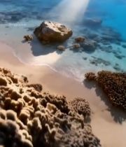  阳光照射下的海滩礁石景观627#竖屏 	 