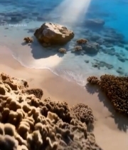  阳光照射下的海滩礁石景观627#竖屏 	 