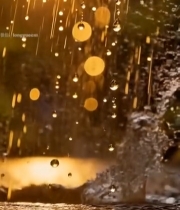  阳光下雨滴洒落地面特写1570#竖屏 	 