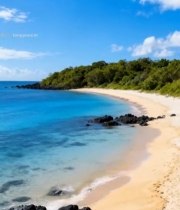  阳光沙滩海洋自然风光2549#竖屏 	 