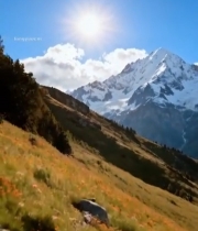 雪山下的烂漫花海风景6008#竖屏 	 