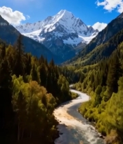  雪山下河流与森林自然风光4337#竖屏 	 