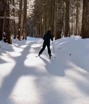  雪林中人滑雪脚踩滑雪板画面4521#竖屏 	 