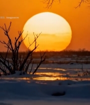  雪地夕阳景色4183#竖屏 	 