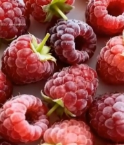  新鲜树莓特写()(1)4311#竖屏 	 