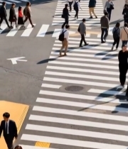  行人过马路全景3972#竖屏 	 