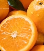  新鲜橙子特写素材792#竖屏 	 