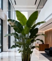  现代办公大厅绿植盆栽2923#竖屏 	 