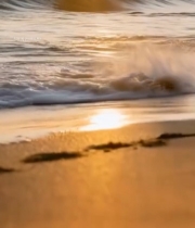  夕阳下海浪拍打沙滩画面4473#竖屏 	 