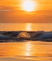  夕阳下鲸鱼尾巴露出海面(5)6322#竖屏 	 
