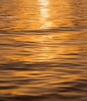  夕阳下波光粼粼的水面592#竖屏 	 