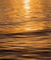  夕阳下波光粼粼的水面592#竖屏 	 