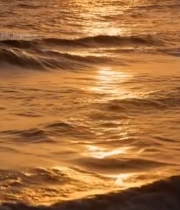  夕阳下波光粼粼的大海6575#竖屏 	 