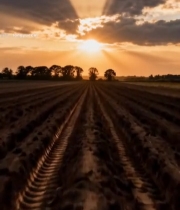  田野夕阳自然风光1010#竖屏 	 