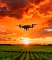  田野上空飞行的无人机(2)7802#竖屏 	 