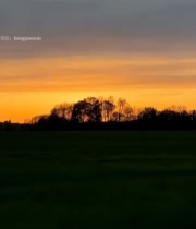  田野夕阳自然风光(2)5376#竖屏 	 