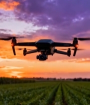  田野上空夕阳下的无人机飞行(1)7863#竖屏 	 