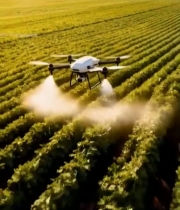  无人机田间喷洒作业素材473#竖屏 	 