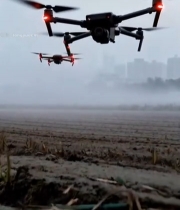  无人机农田上空飞行1102#竖屏 	 