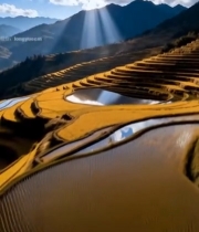  梯田自然风光全景7328#竖屏 	 