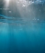 水下阳光照射海水画面5040#竖屏 	 