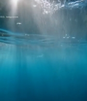  水下阳光照射海水画面5040#竖屏 	 