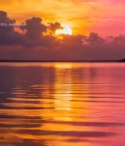  水面上的日落美景(1)4352#竖屏 	 