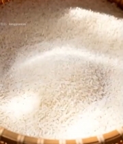  双手捧大米特写1991#竖屏 	 