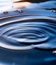  水边垂柳带露自然风光6864#竖屏 	 