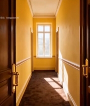  室内黄色走廊木质门场景(1)3116#竖屏 	 