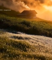  山间小屋日出自然风光945#竖屏 	 