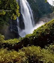  山林间瀑布自然景观3888#竖屏 	 