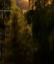  山林湖泊日出自然风光3639#竖屏 	 