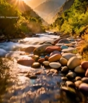 山间溪流日出自然风光4398#竖屏 	 