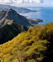  山间公路与海景自然风光5656#竖屏 	 