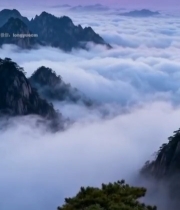  山峰云海日出自然景观3439#竖屏 	 