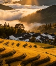  山村梯田日出自然风光(1)6175#竖屏 	 