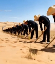  沙漠中人群植树造林场景3150#竖屏 	 