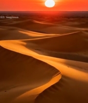 沙漠夕阳全景265#竖屏 	 