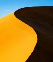  沙漠沙丘特写54#竖屏 	 