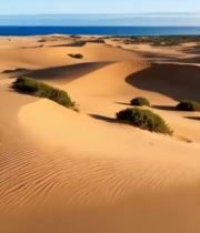  沙漠沙丘绿植自然风光7066#竖屏 	 