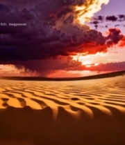  沙漠日落自然风光(3)5466#竖屏 	 