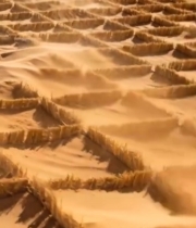  沙漠麦草方格固沙场景3341#竖屏 	 