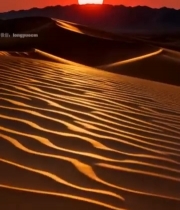  沙漠日落美景2139#竖屏 	 