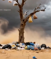  沙漠枯树下堆积的垃圾3997#竖屏 	 