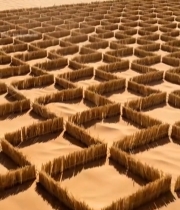  沙漠草方格治沙景观1376#竖屏 	 